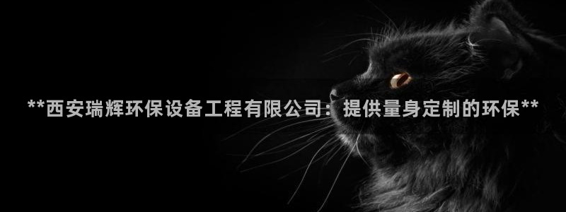 彩名堂官网计划怎么下载到手机：**西安瑞辉环保设备工程有限公